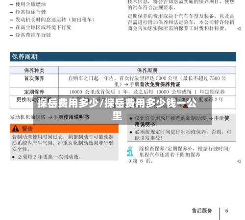 探岳费用多少/探岳费用多少钱一公里