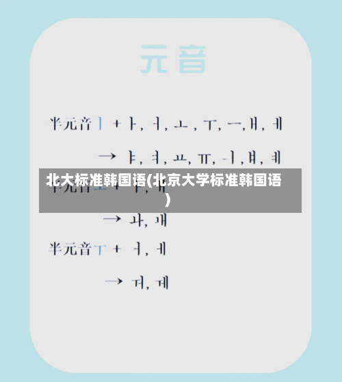 北大标准韩国语(北京大学标准韩国语)