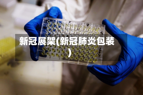 新冠展架(新冠肺炎包装)