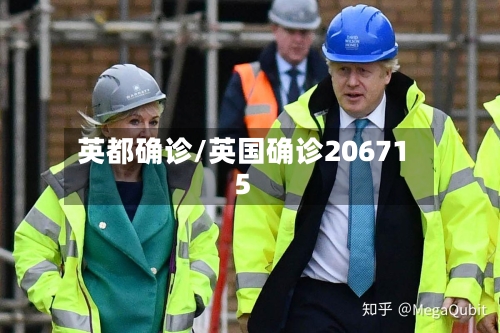 英都确诊/英国确诊206715