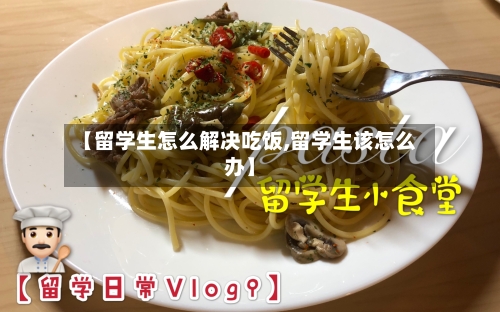 【留学生怎么解决吃饭,留学生该怎么办】-第3张图片