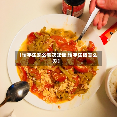 【留学生怎么解决吃饭,留学生该怎么办】-第2张图片