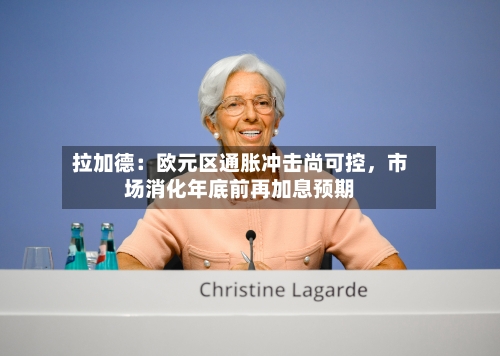 拉加德：欧元区通胀冲击尚可控，市场消化年底前再加息预期-第3张图片