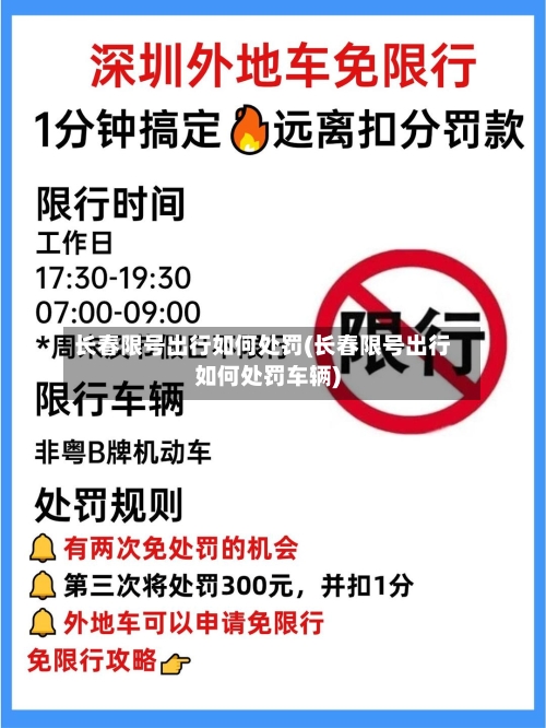 长春限号出行如何处罚(长春限号出行如何处罚车辆)-第2张图片