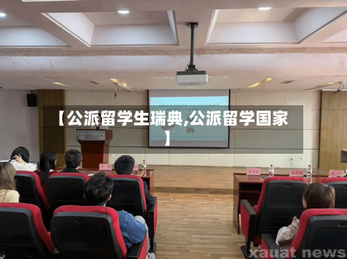【公派留学生瑞典,公派留学国家】