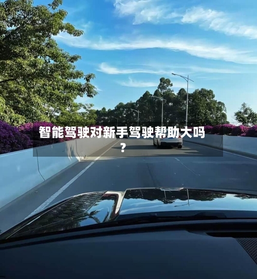 智能驾驶对新手驾驶帮助大吗?-第2张图片