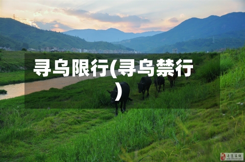 寻乌限行(寻乌禁行)-第3张图片